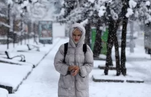 VAN (AA) – Van, Bitlis, Muş ve Hakkari'de olumsuz hava