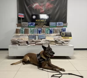 KOCAELİ (AA) – Edirne'de 109 kilogram kokain ele geçirilen "Narkogüç-45"