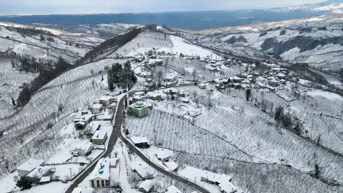 Sakarya'da beyaz örtüyle kaplanan Çam Dağı'nın eteklerini kardelenler süsledi