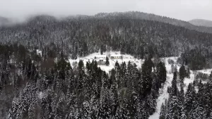 SİNOP (AA) – Sinop'un yüksek kesimlerinde etkili olan kar yağışıyla