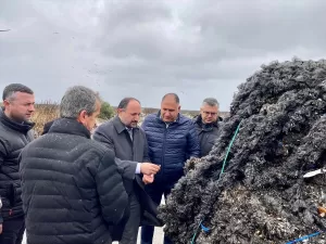 BALIKESİR (AA) – TBMM Balıkçılık ve Su Ürünleri Araştırma Komisyonu