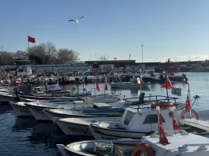 TEKİRDAĞ (AA) – Tekirdağ'da iki gündür devam eden poyrazın etkisini