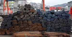 TRABZON (AA) – MELTEM YILMAZ KARAKURUM – Trabzon'dan geçen yıl