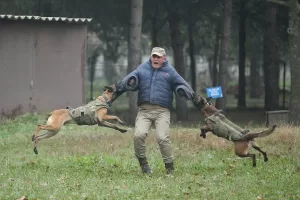 - Gemlik Askeri Veteriner Okulu ve Eğitim Merkezi Komutanlığı bünyesindeki