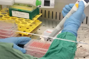 KOCAELİ (AA) – KADİR YILDIZ – Kocaeli Üniversitesi (KOÜ) akademisyenleri,