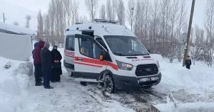 VAN (AA) – Van, Hakkari, Bitlis ve Muş'ta 1277 yerleşim