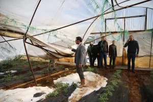 ANTALYA (AA) – Antalya'nın Alanya ilçesinde etkili olan dolu, bazı