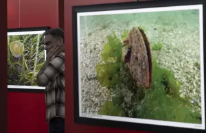 ANKARA (AA) – Fotoğraf Sanatçısı ve Görüntü Yönetmeni Tahsin Ceylan