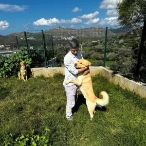 MUĞLA (AA) – Muğla'nın Bodrum ilçesinde zehirlendiği tespit edilen 4