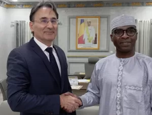 ENCEMİNE (AA) – Çad Güvenlik ve Göç Bakanı Muhammed Charfadine