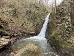 DÜZCE (AA) – Düzce'de şubat ayında sıcak havayı fırsat bilenler,