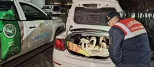 - 3 şüpheliye 170 bin lira para cezası uygulandı