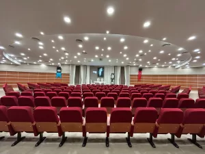 İSTANBUL (AA) – BAŞAK AKBULUT YAZAR – Her 4 yılda