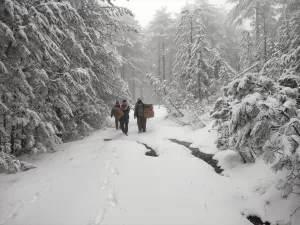 BALIKESİR (AA) – Balıkesir'in Edremit ilçesinde, kar altında kalan Kazdağları'ndaki