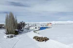 KARS (AA) – Kars'ın Arpaçay ilçesinde karla kaplı köylerde yaşayan
