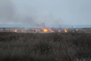 SAMSUN (AA) – Samsun'da, UNESCO Dünya Mirası Geçici Listesi'nde yer