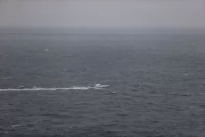 - "Gemideki 6 personel için denizden ve karada bulunan AFAD,