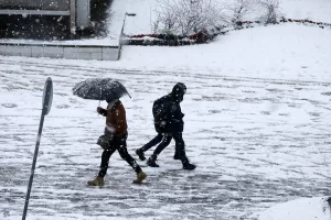 VAN/MUŞBİTLİS (AA) – Van, Muş ve Bitlis'te olumsuz hava koşulları