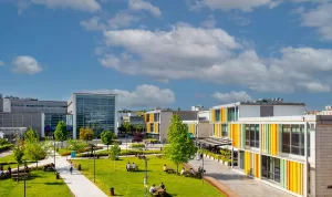 - Program kapsamında teknoloji odaklı yenilikçi iş fikrine sahip girişimciler,