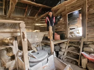 SAMSUN (AA) – Samsun'un Tekkeköy ilçesinde 150 yıllık su değirmenini