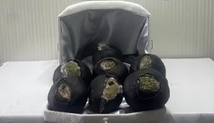 ŞANLIURFA (AA) – Şanlıurfa'nın Birecik ilçesinde yolcu otobüsünde, 7 kilogram