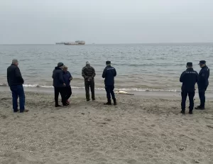 TEKİRDAĞ (AA) – Tekirdağ'ın Süleymanpaşa ilçesinde sahilde ölü bulunan yunus