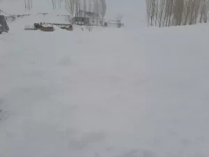 VAN (AA) – Van'ın Özalp ilçesinde üzerine çığ düşen evde