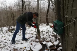 YALOVA (AA) – Doğa Koruma ve Milli Parklar (DKMP) Yalova