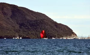 MUĞLA (AA) – Muğla'nın Marmaris ilçesinde düzenlenen ve yatlarda sadece