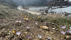 BOLU (AA) – Bolu'nun doğal güzellikleriyle ünlü Abant Gölü Milli