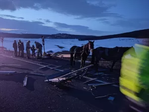 ARDAHAN (AA) – Ardahan'da otomobil ile at arabasının çarpıştığı kazada