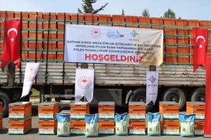 BATMAN (AA) – Batman'da arıcılığın geliştirilmesi ve bal üretiminin arttırılması