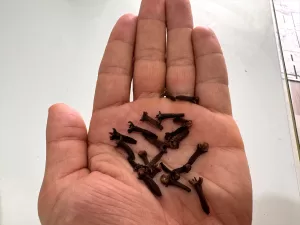 ERZURUM (AA) – İLHAMİ ERKILIÇ – Atatürk Üniversitesi Fen Fakültesi