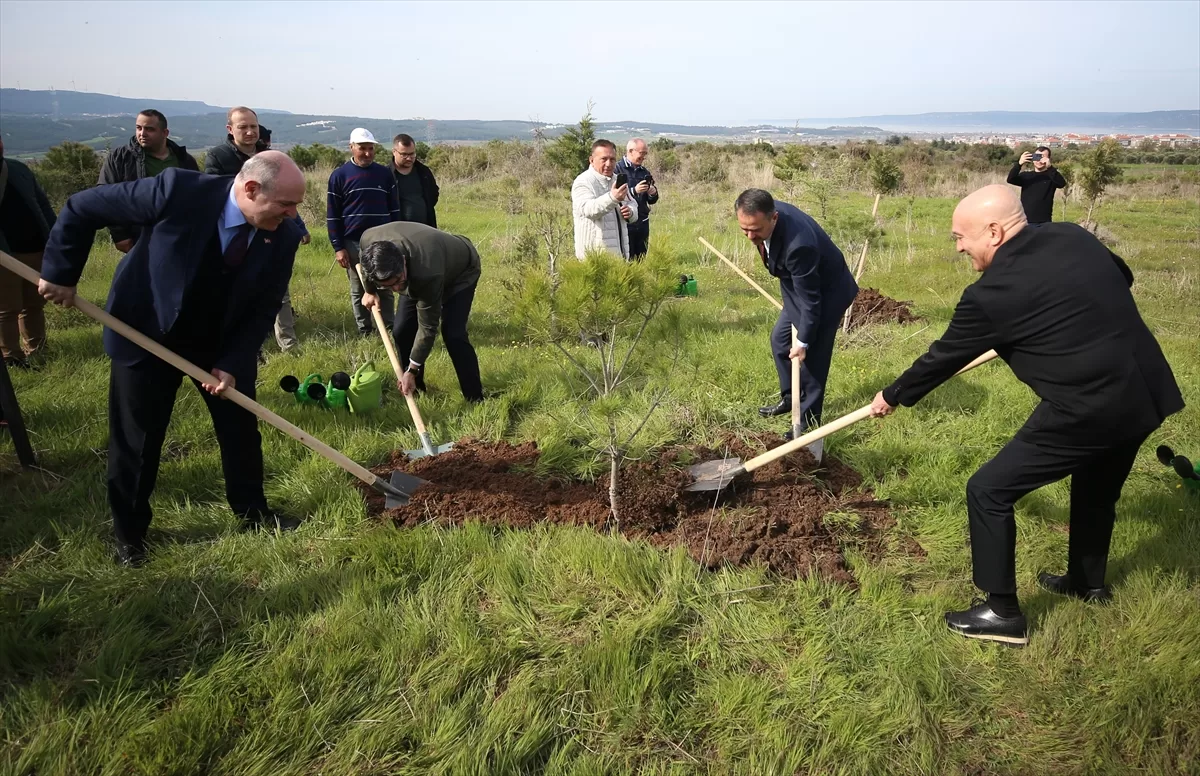 Dardanel, Çanakkale'de 40. yılında hatıra ormanı oluşturdu