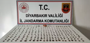 DİYARBAKIR (AA) – Diyarbakır'ın Bismil ve Çınar ilçelerinde düzenlenen tarihi
