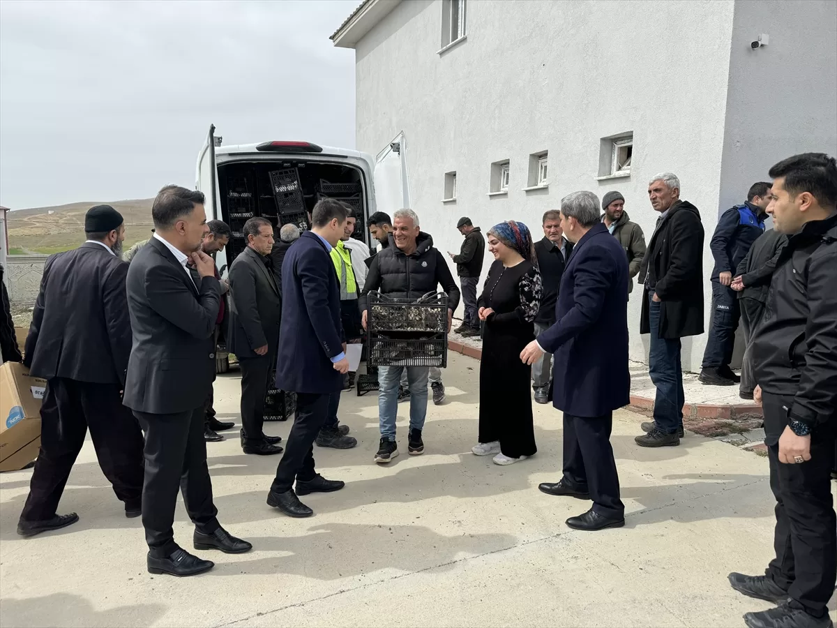 Elazığ'da dezavantajlı kadınlara 4 bin 500 hindi yavrusu ve yem dağıtıldı