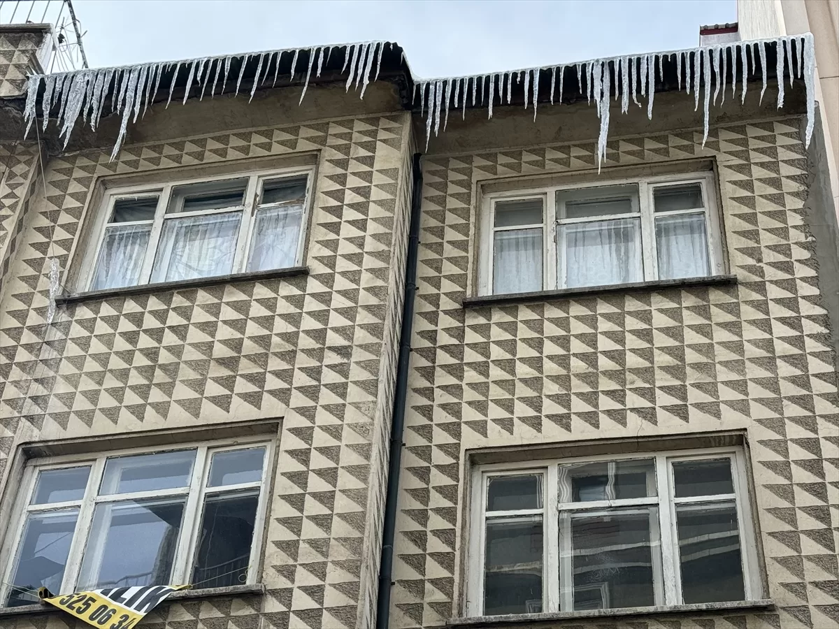 Erzurum, Ardahan, Ağrı ve Kars'ta soğuk hava hakim