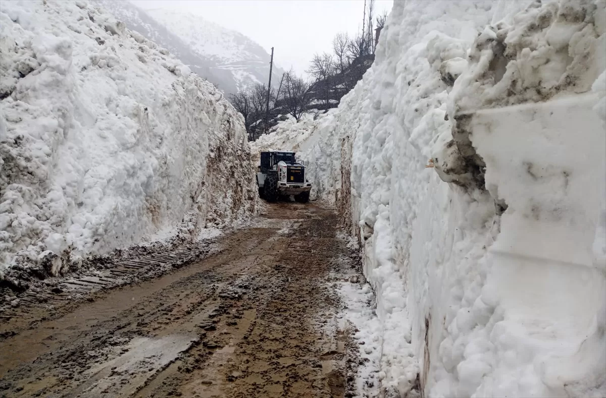 Hakkari'de çığ nedeniyle kapanan yol açıldı