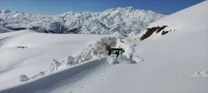 MUŞ (AA) – Muş ve Hakkari'de karla mücadele ekipleri, metrelerce