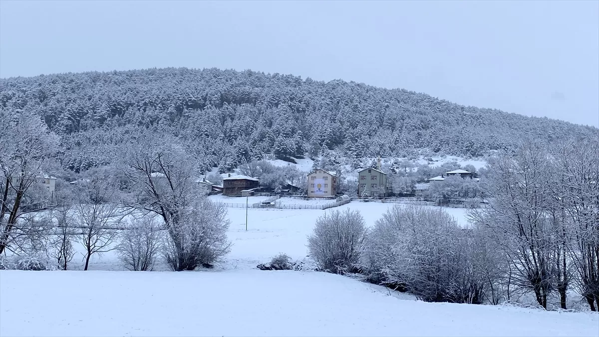 Karabük ve Bolu'nun yüksek kesimlerine kar yağdı