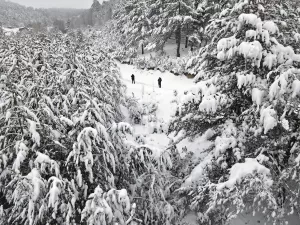 KASTAMONU (AA) – Kastamonu'da etkili olan kar yağışı sonrası beyaza