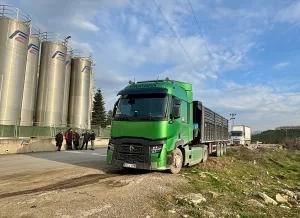 KOCAELİ (AA) – Kocaeli'nin Gebze ilçesinde kasası yüksek gerilim hattına