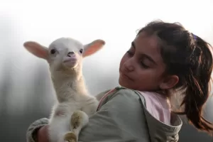 DÜZCE (AA) – ÖMER ÜRER – Düzce'nin Konaklar köyünde yaşayan