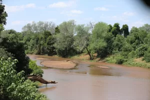 PAFURİ (AA) – MURAT ÖZGÜR GÜVENDİK – Güney Afrika Cumhuriyeti'nin