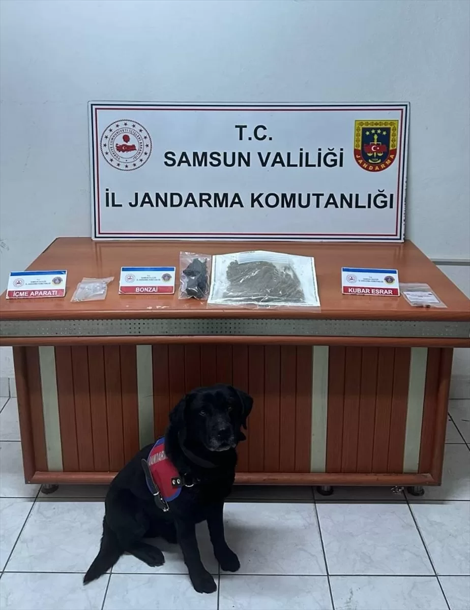 Samsun'da uyuşturucu operasyonunda yakalanan zanlı tutuklandı