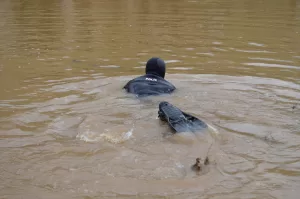 ŞANLIURFA (AA) – Şanlıurfa'nın Ceylanpınar ilçesinde, dereyi geçerken yükselen suya