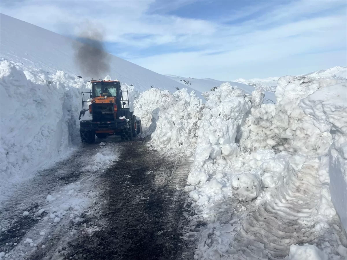 Şırnak'ta 2 bin 230 rakımlı Tanin Geçidi'nde kar temizleme çalışması devam ediyor