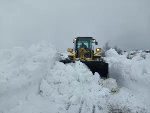 GÜMÜŞHANE (AA) – Gümüşhane, Giresun, Trabzon ve Ordu'nun yüksek kesimlerinde