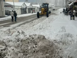 VAN (AA) – Van, Bitlis, Hakkari ve Muş'ta dün geceden