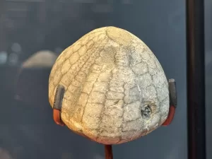 SAMSUN (AA) – İLYAS GÜN – Samsun'un denizden 950 metre